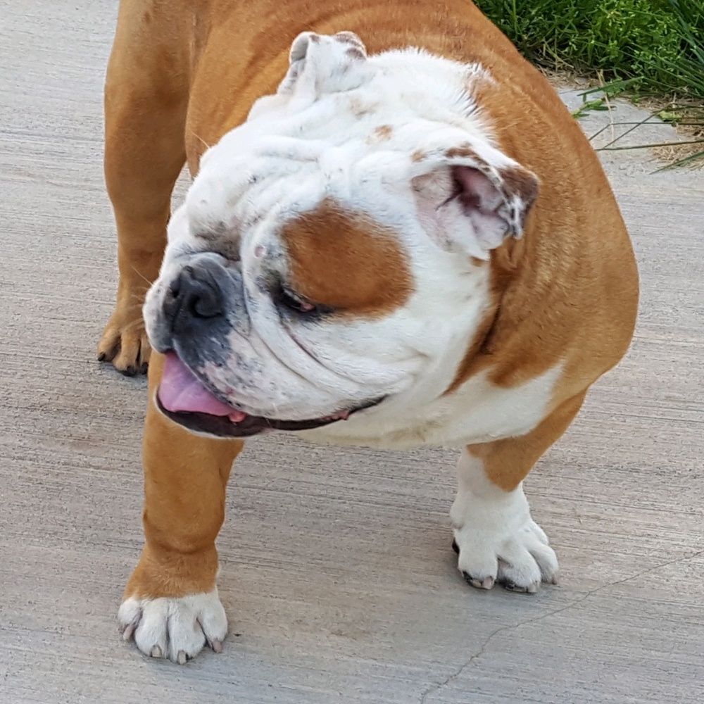 Meet your Posher, Sandro